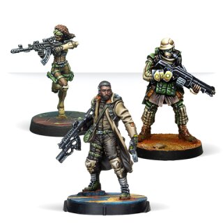 Reinforcements: Haqqislam Pack Beta (EN)