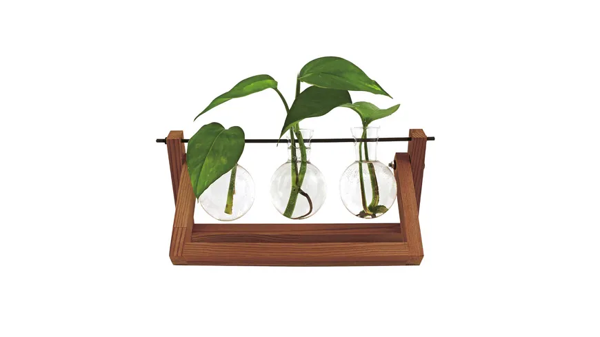 Winkee Hydro Vase Blossom