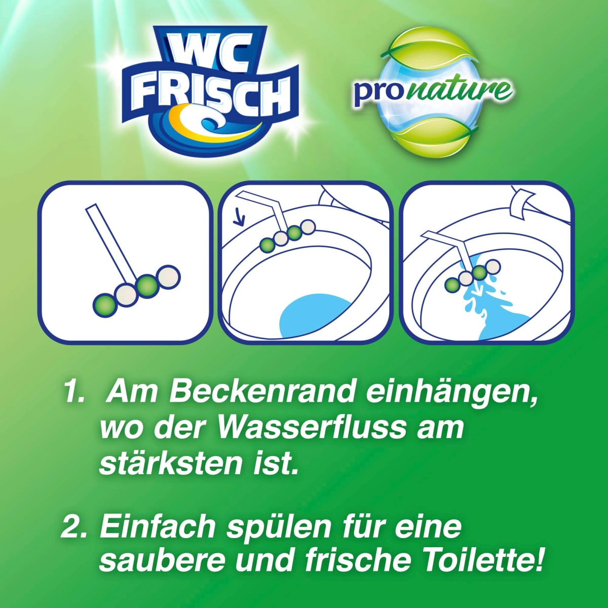 WC-Stein Kraft Aktiv Pro Nature Minze & Eukalyptus, 1 St