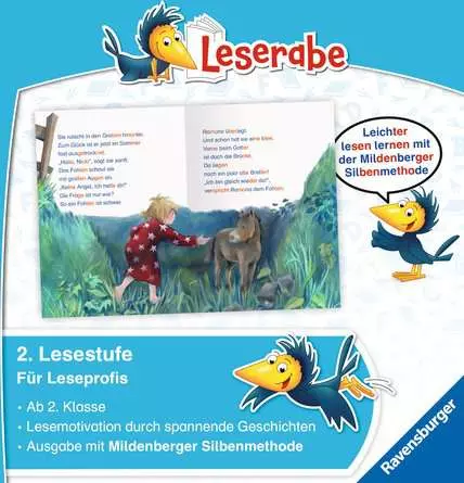Leserabe mit Mildenberger Silbenmethode: Pferdegeschichten