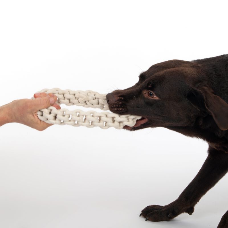 TIAKI Hundespielzeug Rope Ring zu TOP-Preisen