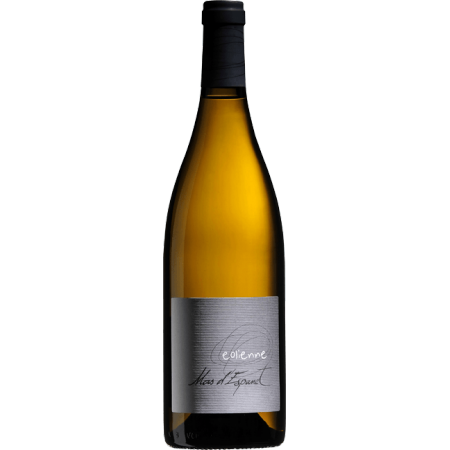 EOLIENNE BLANC 2021 - MAS D'ESPANET