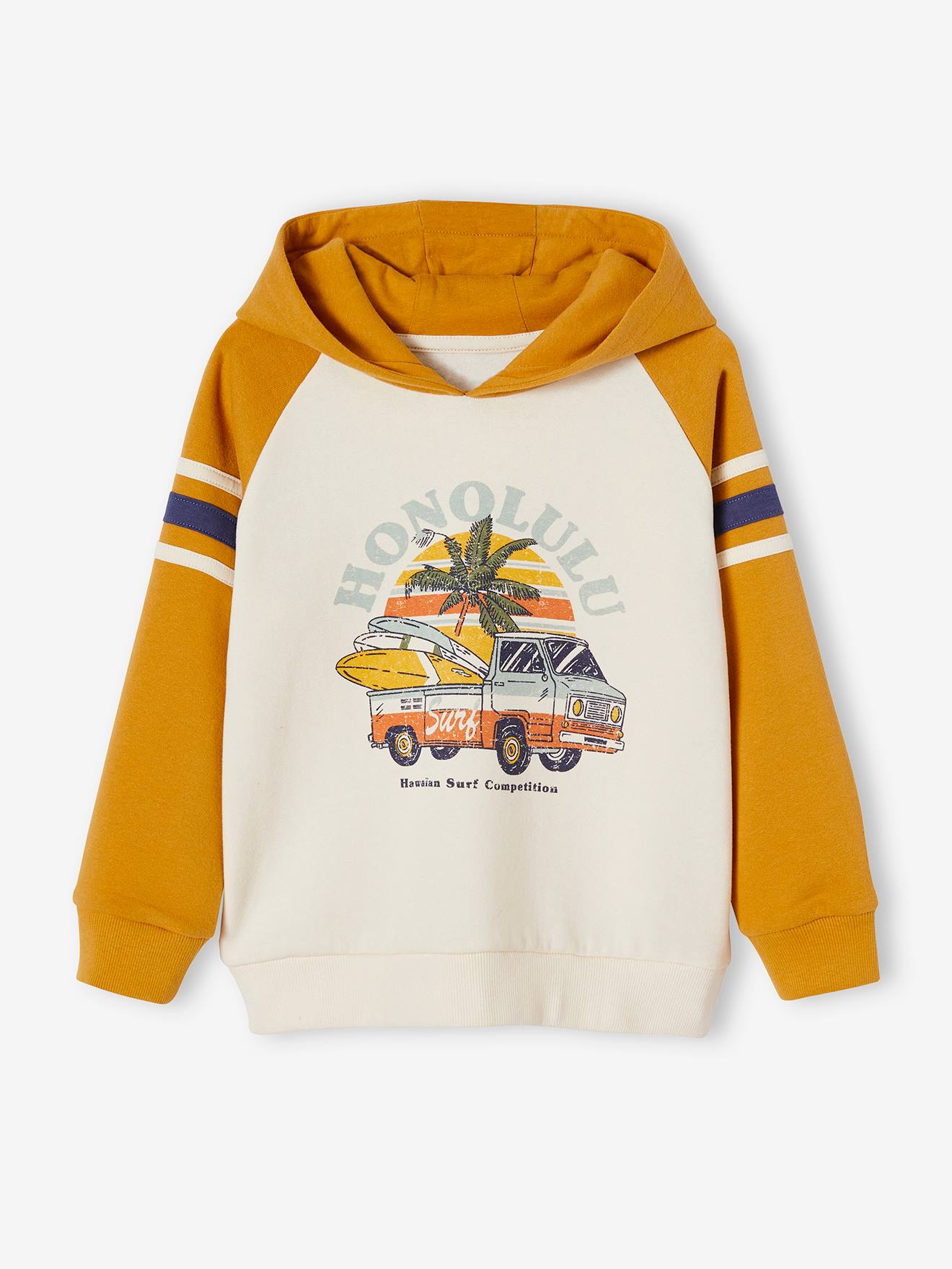 Sweat à capuche animations graphique garçon manches raglan bleu