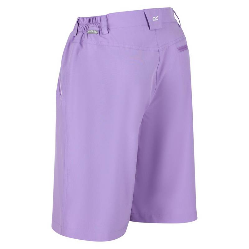 Regatta Xert It Shorts Damen