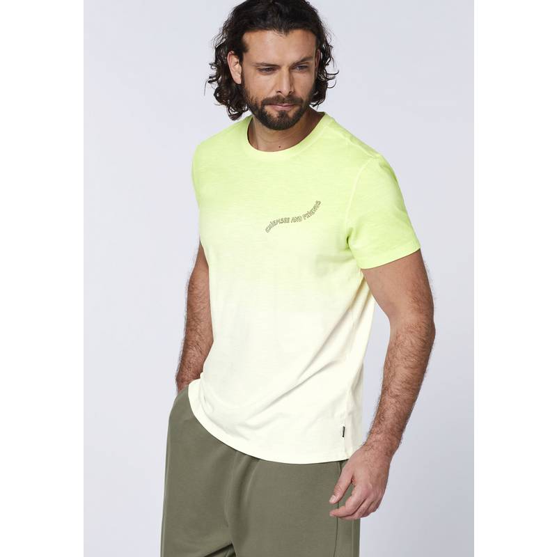 Chiemsee T-Shirt T-Shirt Herren