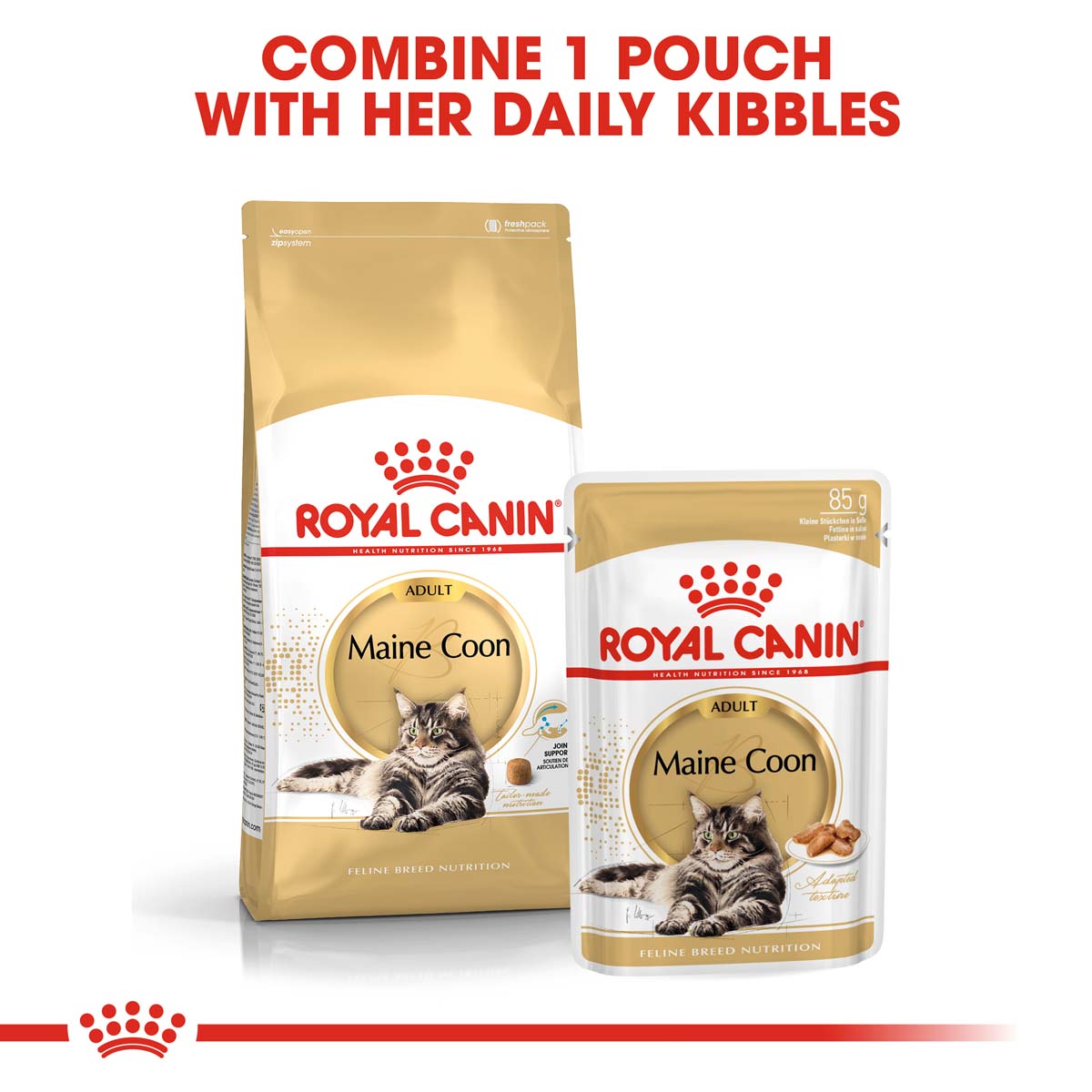 Royal Canin Maine Coon Katzenfutter günstig kaufen