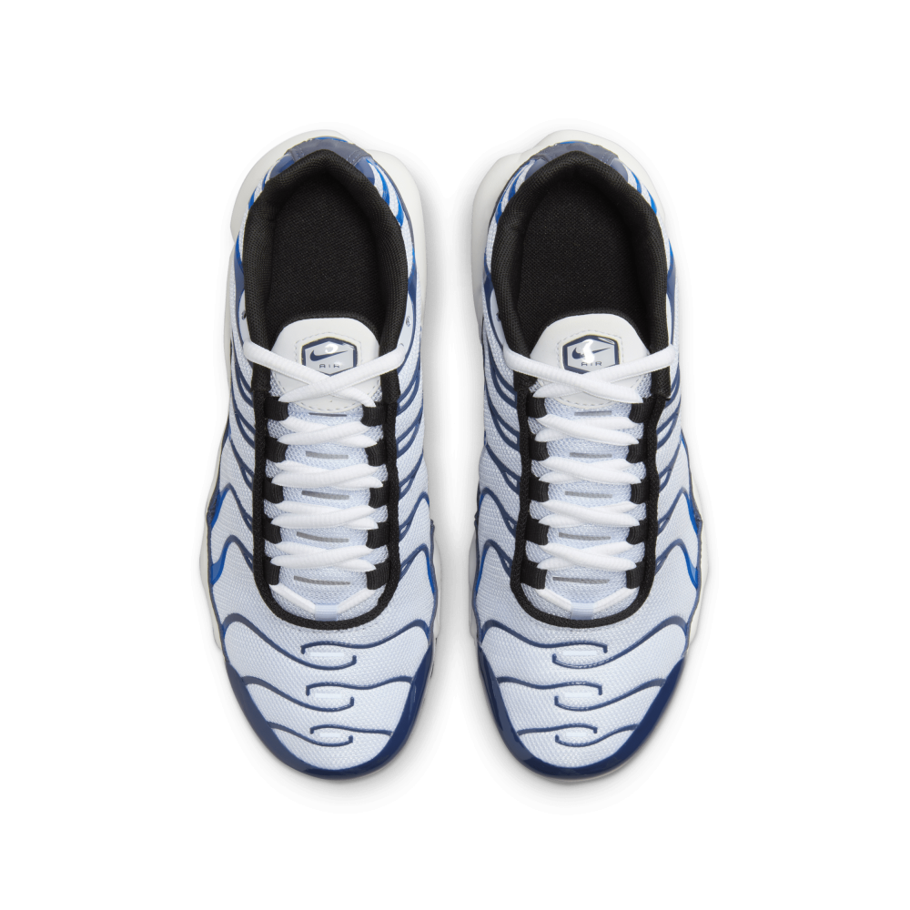 Nike Air Max CD0609-409 / blau