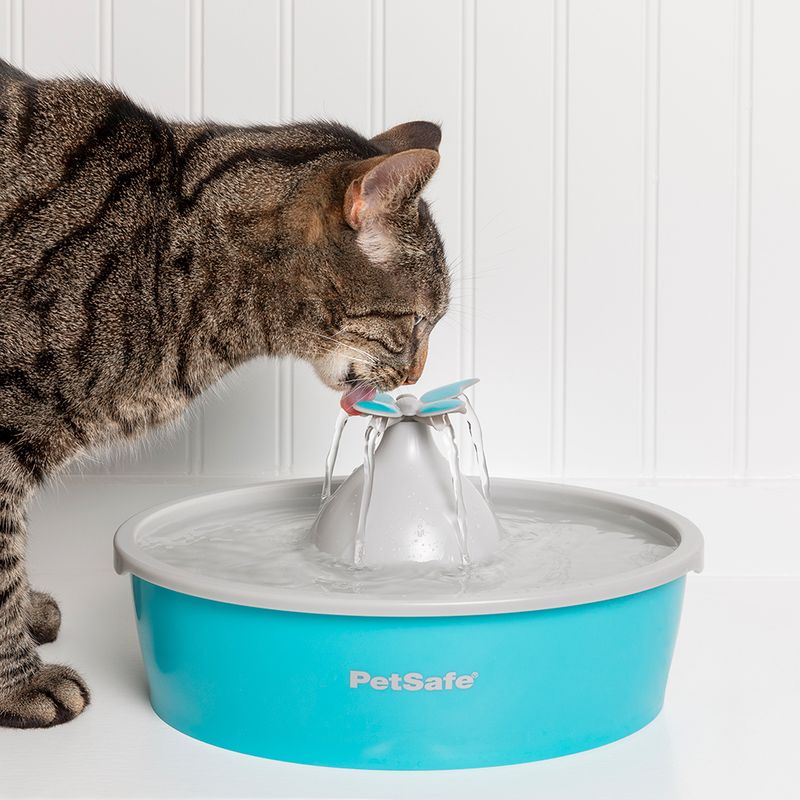 PetSafe Drinkwell Butterfly Trinkbrunnen zu TOP-Preisen