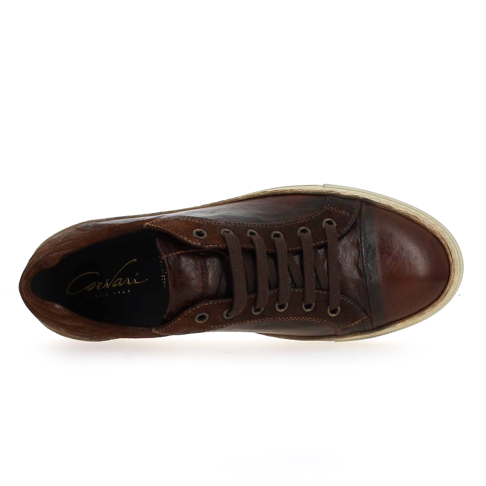 Corvari  1210 280 - Marron