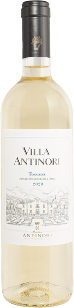 Villa Antinori Bianco trocken