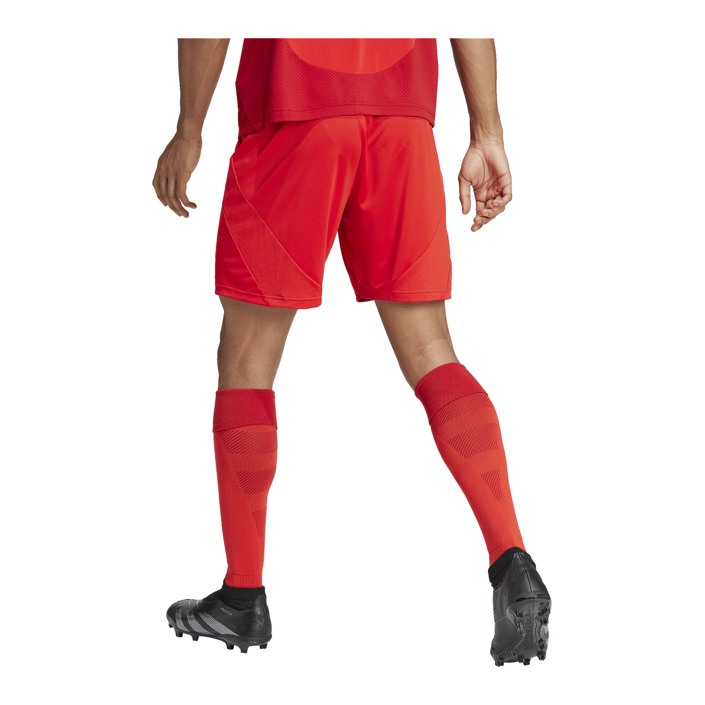 adidas FC Bayern München Short Home 2024/2025 Rot