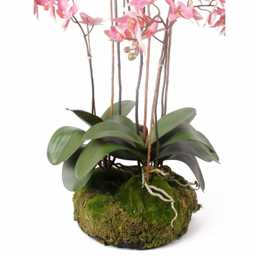 Kunstrasen Kunstpflanze Phalaenopsis mit Moos Rosa 75 cm 417662, Emerald, Höhe: 75 mm