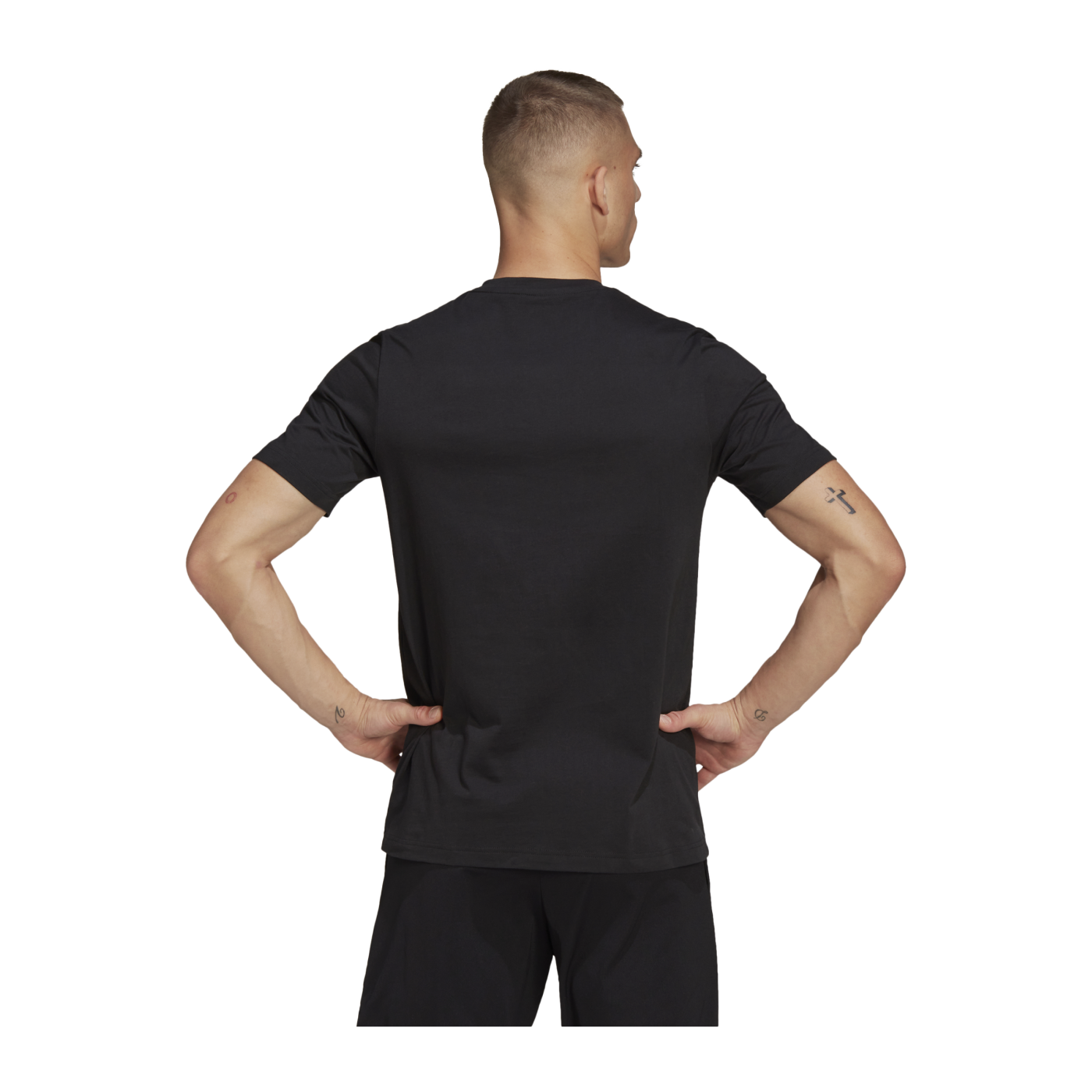 adidas Entrada 22 T-Shirt Schwarz
