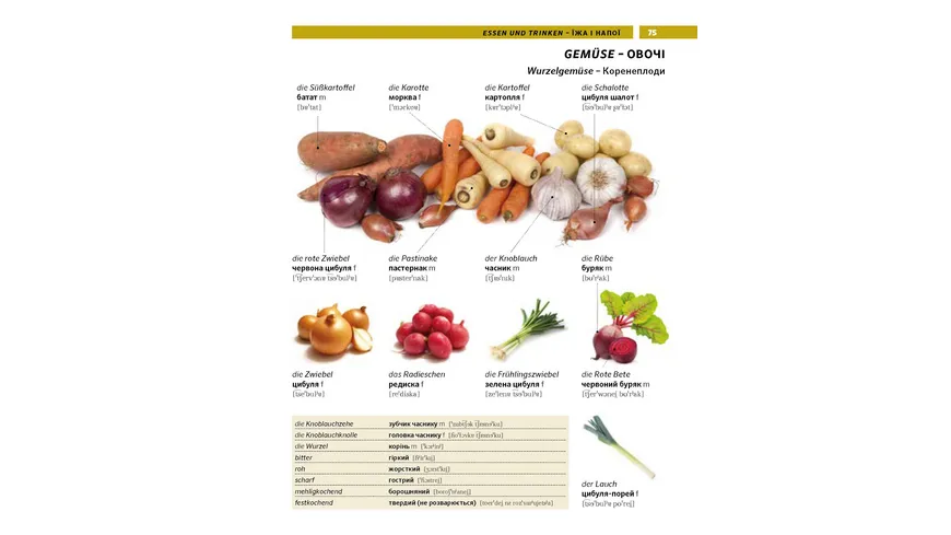 PONS Bildwörterbuch Ukrainisch
