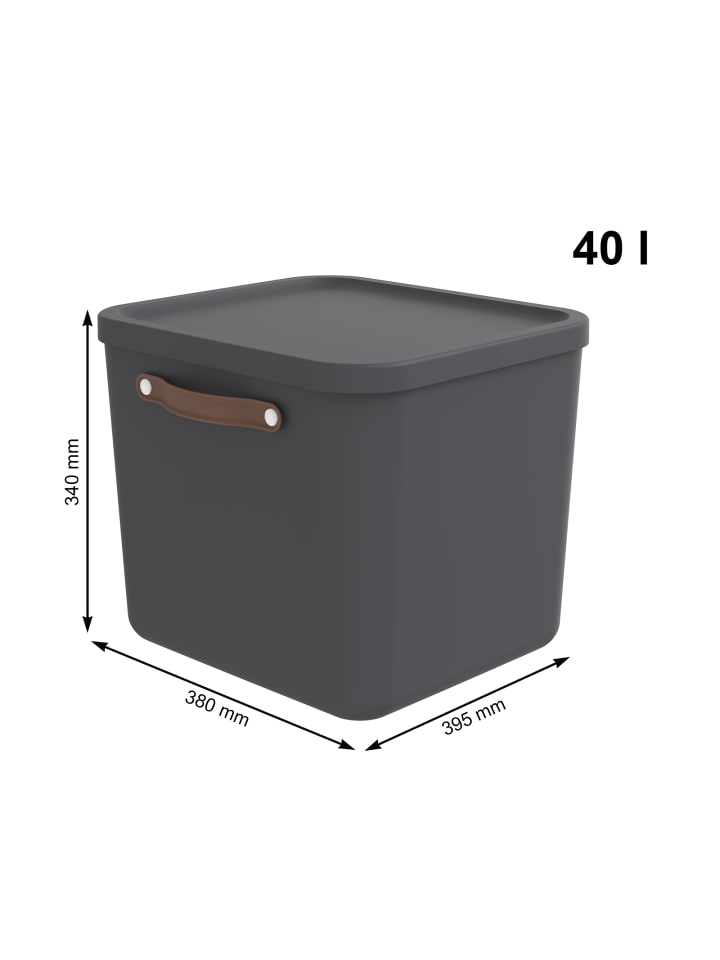 Rotho 2er-Set Aufbewahrungskiste 40l in Holzkohle schwarz ged. günstig kaufen onesize