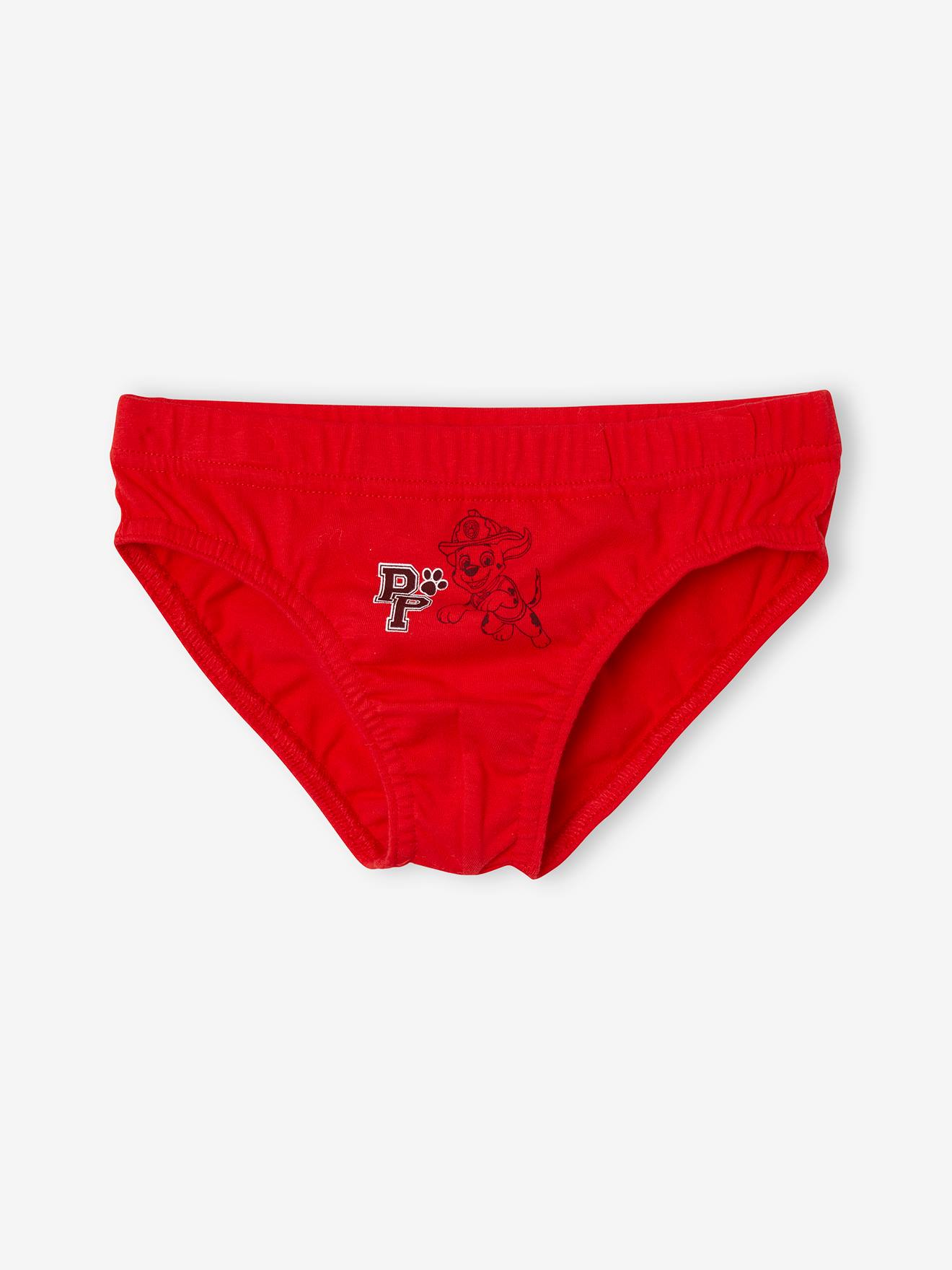 Lot de 3 slips garçon Pat Patrouille® bleu / rouge / gris chiné