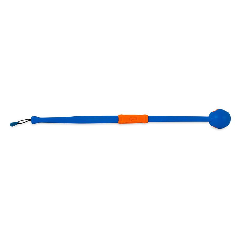 Chuckit! Fetch & Fold zu TOP-Preisen
