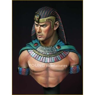 Ramses II BC 1/10 Bust