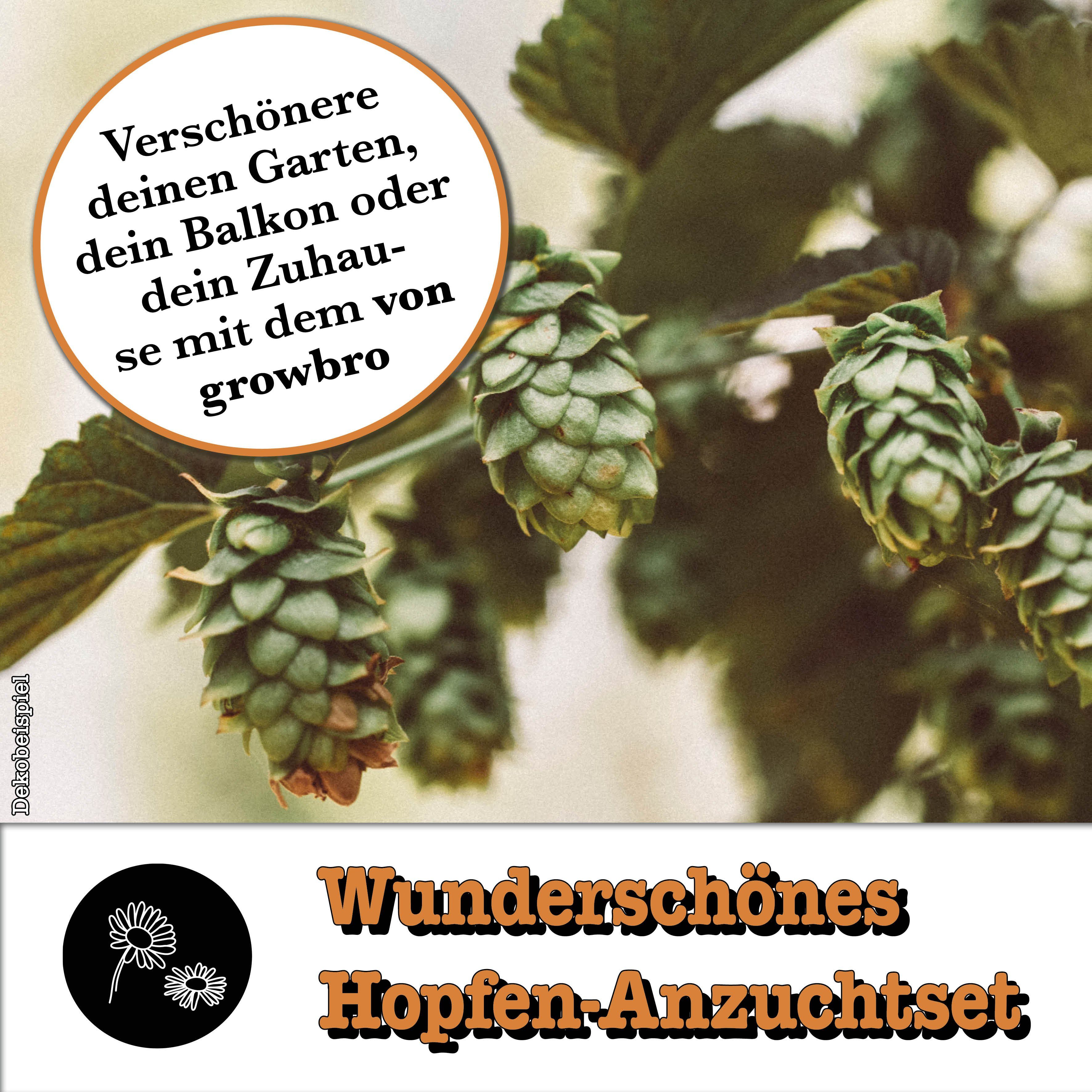 Kunstpflanze Hopfen Anzuchtset DER WEG ZU DEINEM EIGENEN BIER Geschenk für Männer, growbro, - Unser Bestseller, bekannt aus Social Media