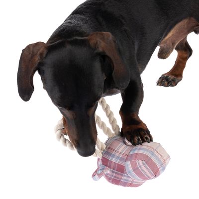 TIAKI Hundespielzeug Giraffe mit Seil
