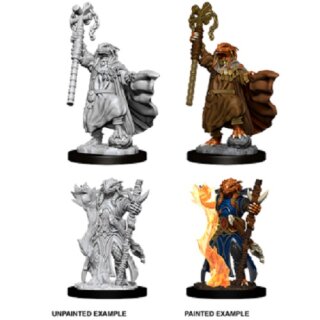 Female Dragonborn Sorcerer: Nolzurs Marvelous Unpainted Minis