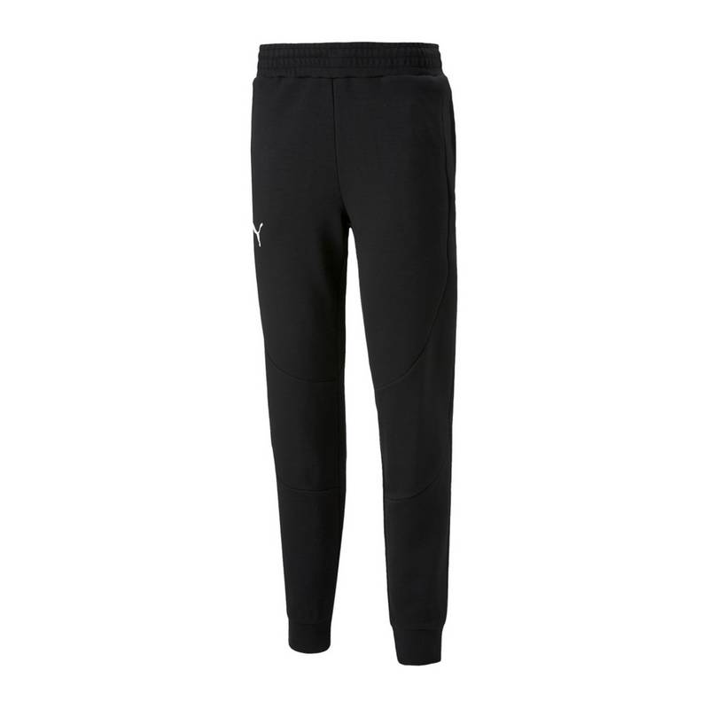 PUMA Dime Trainingshose Shorts Herren