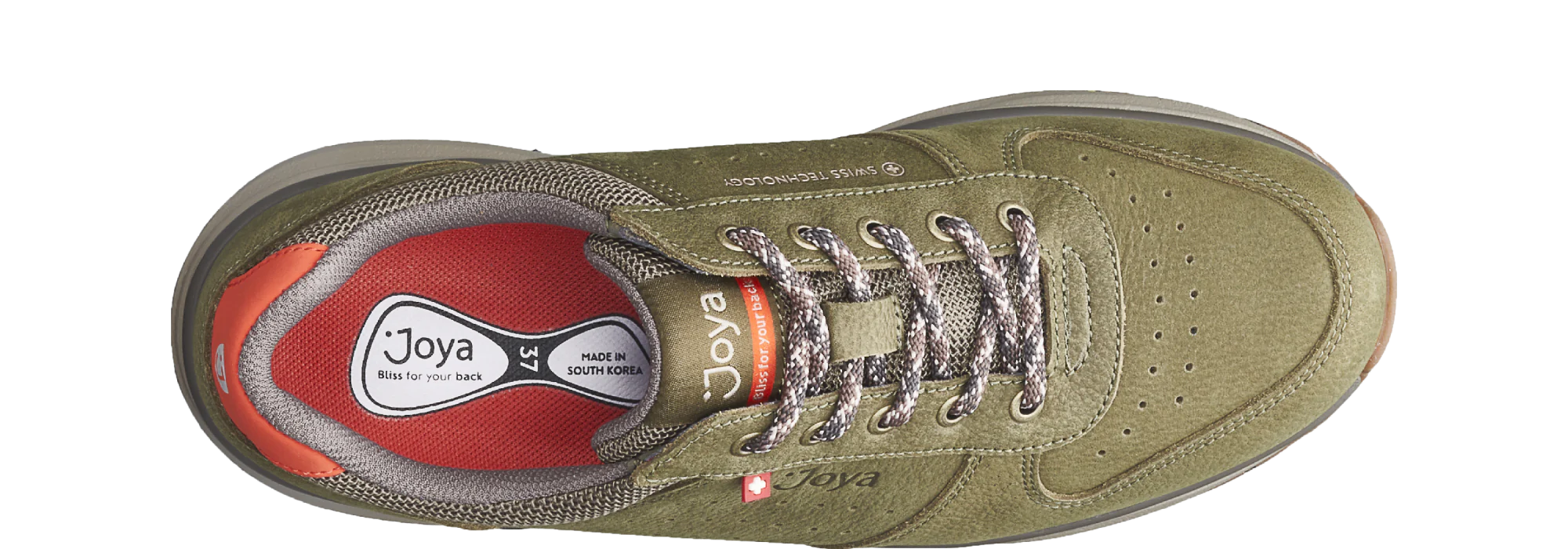 Dynamo Classic green