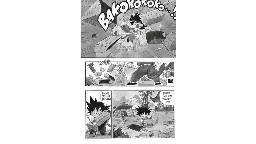 Dragon Ball Massiv 1