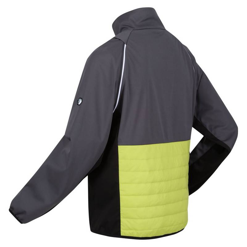Regatta Steren Funktionsjacke Herren