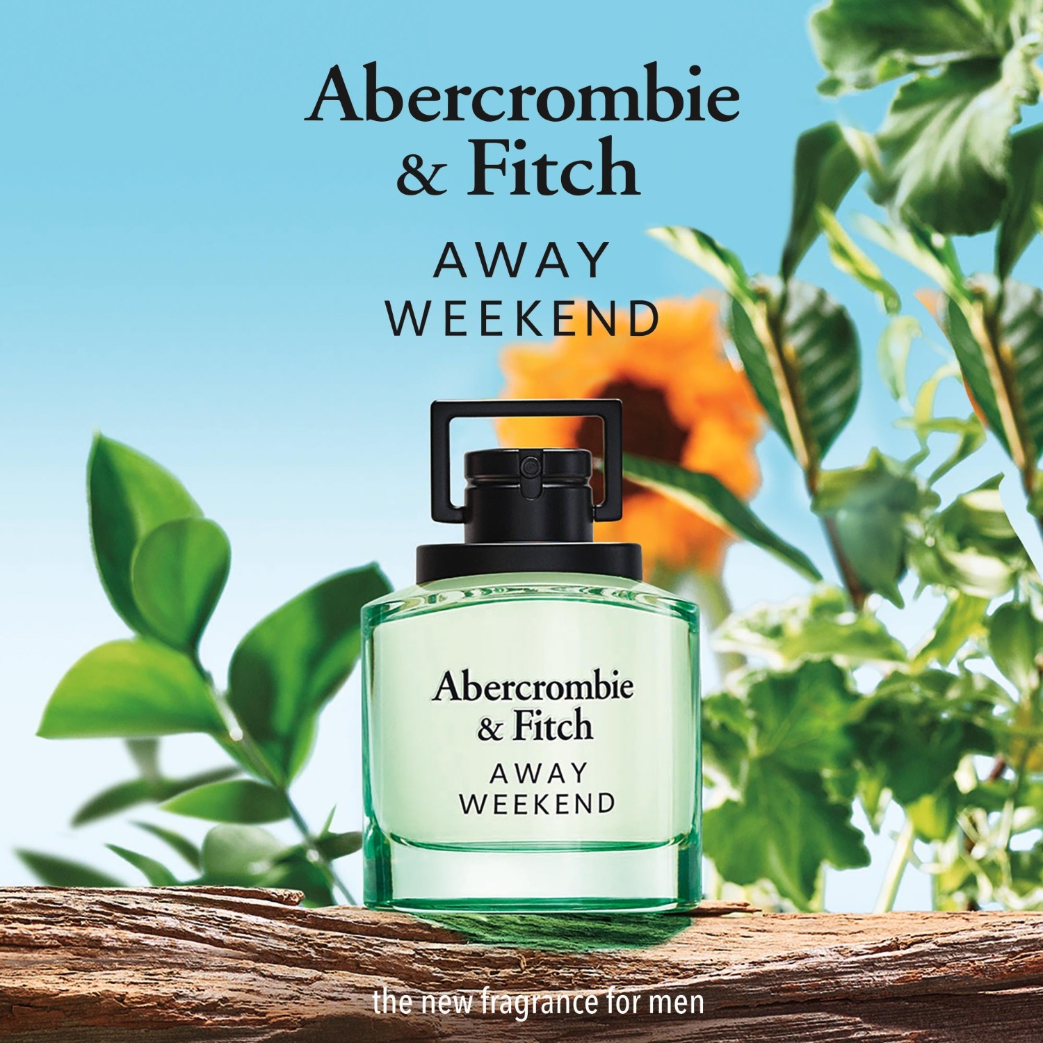 Abercrombie & Fitch WEEKEND Men