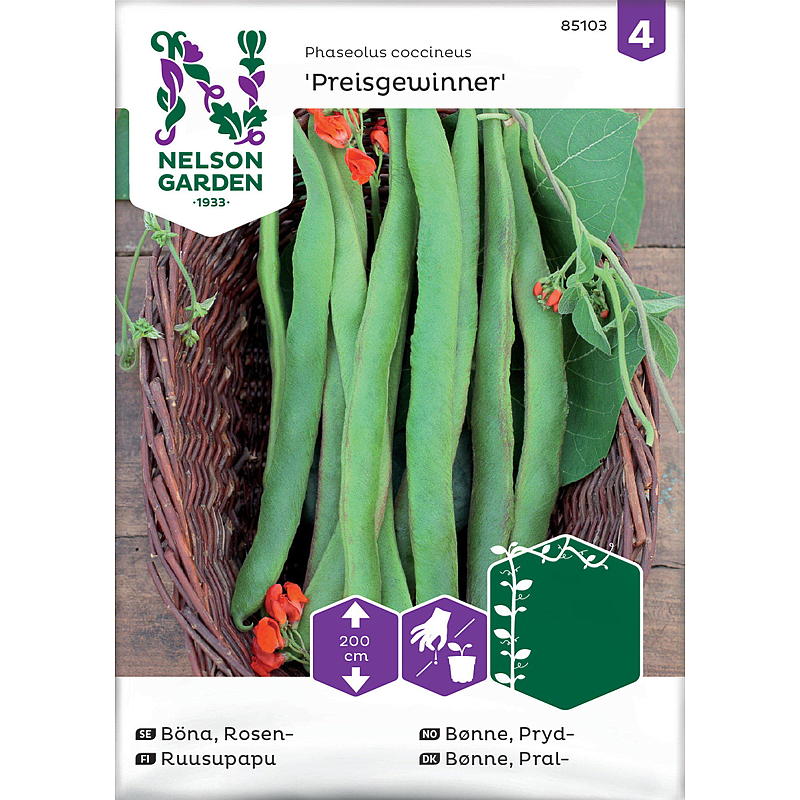 Nelson garden Frø Bønne Pryd-, Preisgewinner, rød