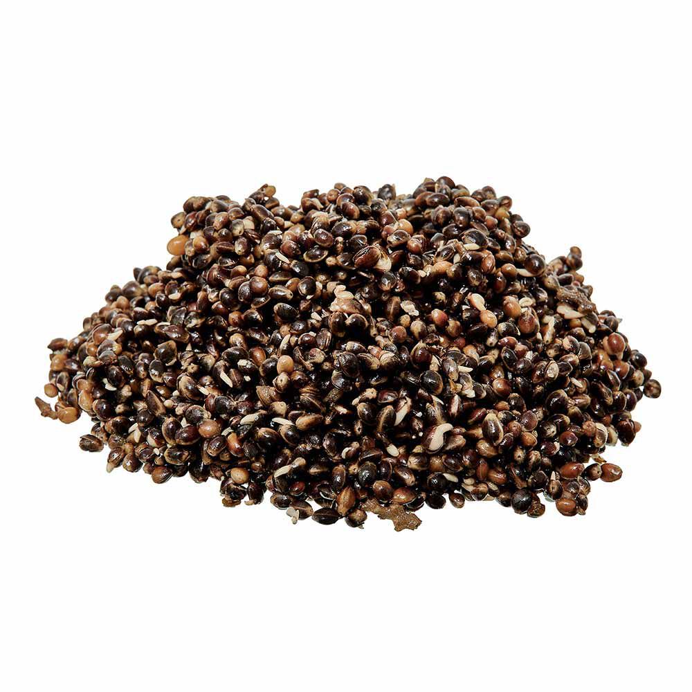 Graines Cuites Starbaits Ready Seed Hamppu