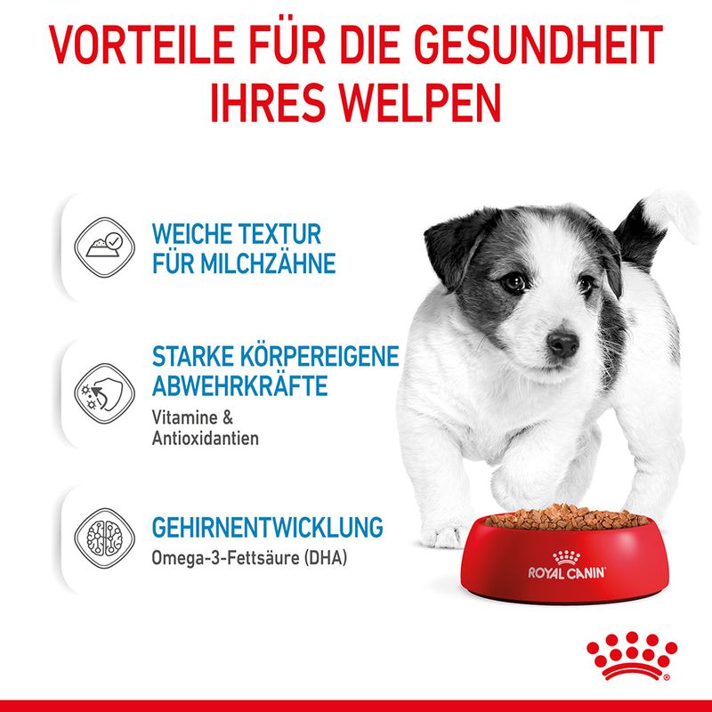 Royal Canin Mini Puppy in Soße