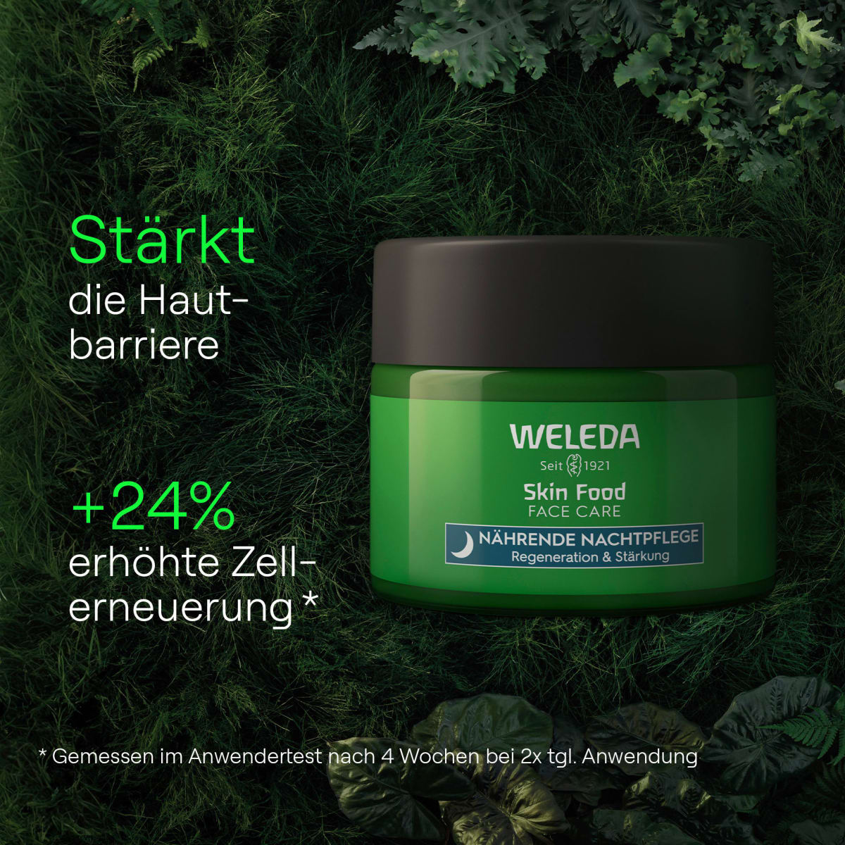 Nachtcreme Skin Food Regeneration & Stärkung, 40 ml