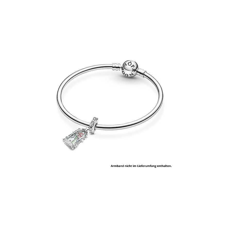 Pandora Anhänger x Pandora
