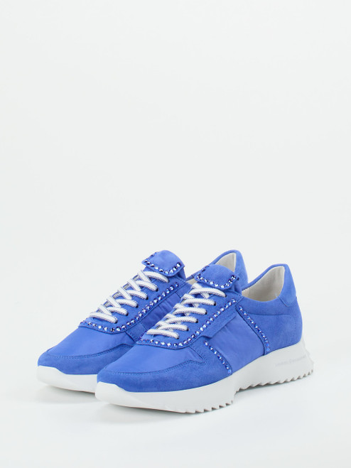 Sneaker-16631590024 Kennel & Schmenger