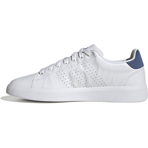 HERREN TENNISOUTDOORSCHUHE ADVANTAGE PREMIUM