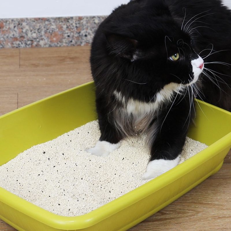 Croci Tofu Clean Active Katzenstreu zu TOP-Preisen