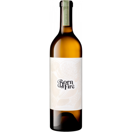 BORN OF FIRE CHENIN BLANC ORGANIC 2021 - JULIEN SCHAAL