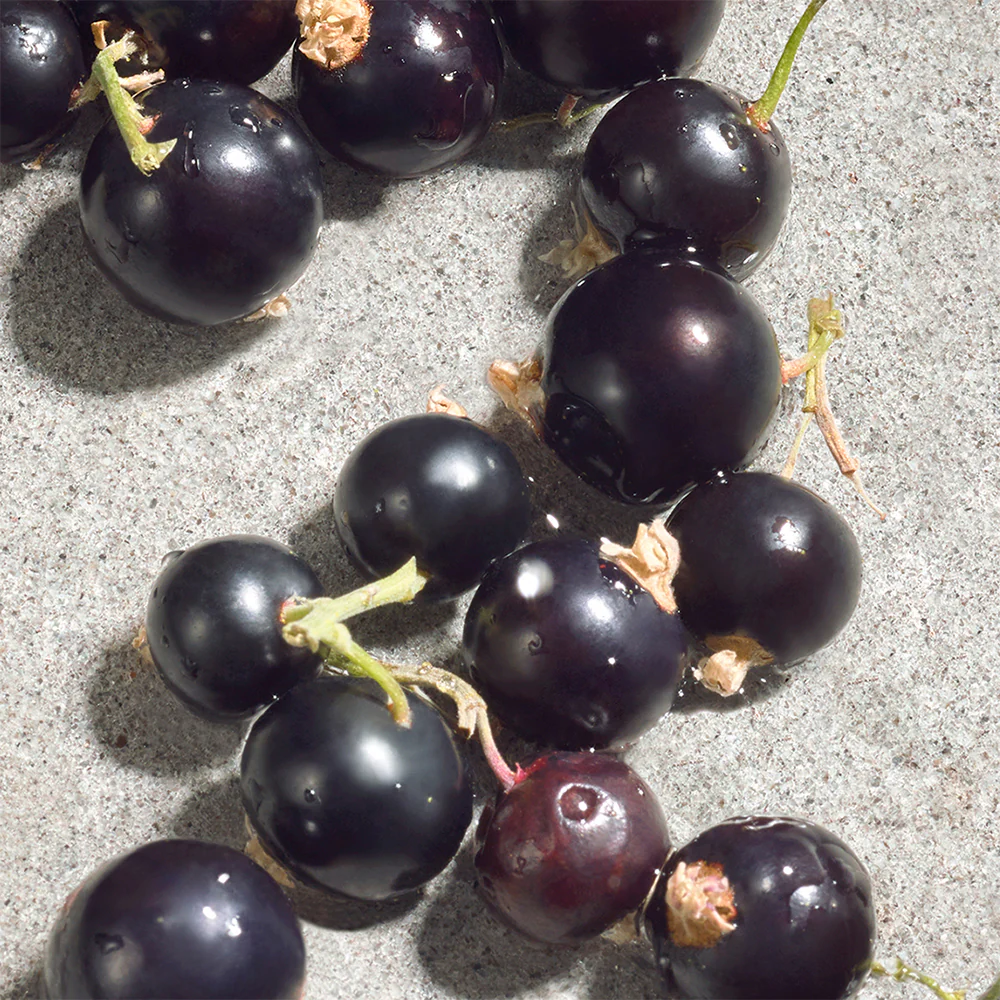 Toaletná voda Sweet Violet