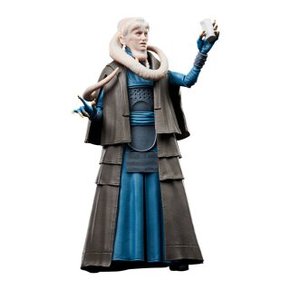 Star Wars Episode VI 40th Anniversary Black Series Actionfigur: Bib Fortuna