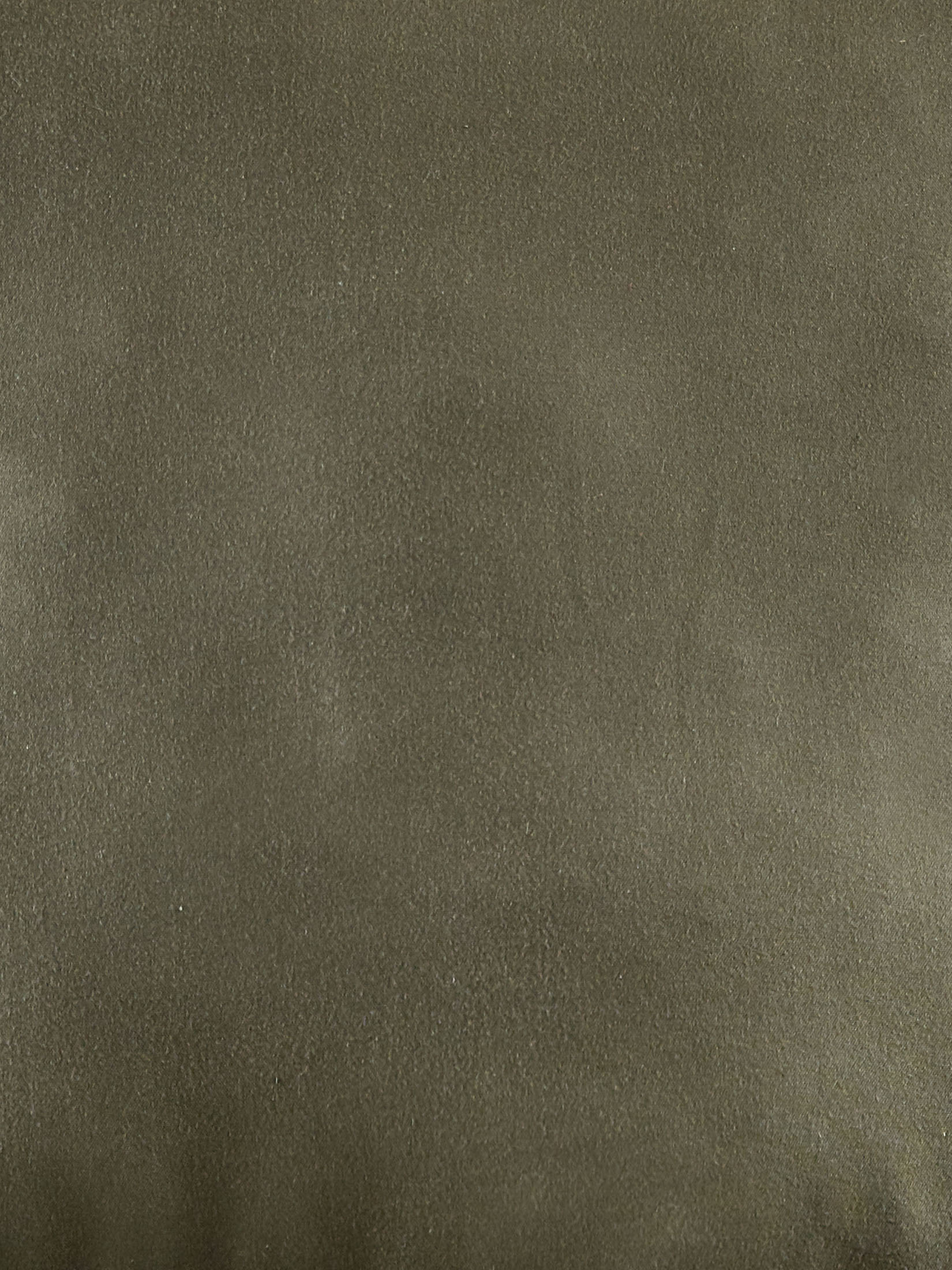 Amaroo Kissen, Olive