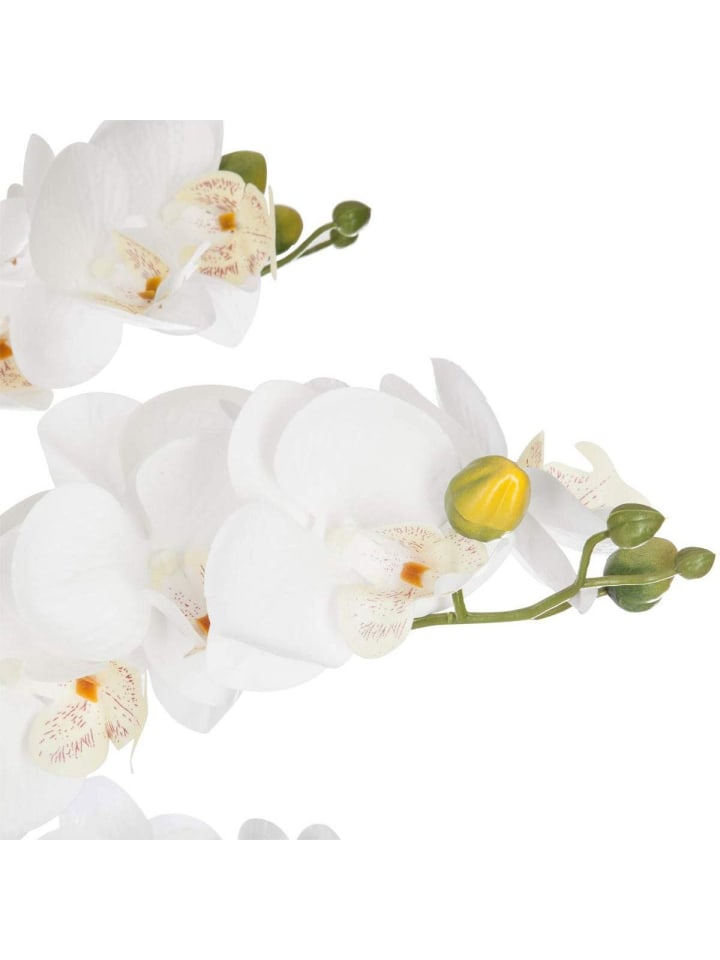 Atmosphera Créateur d'intérieur Kunstblume Orchidee in beige günstig kaufen onesize