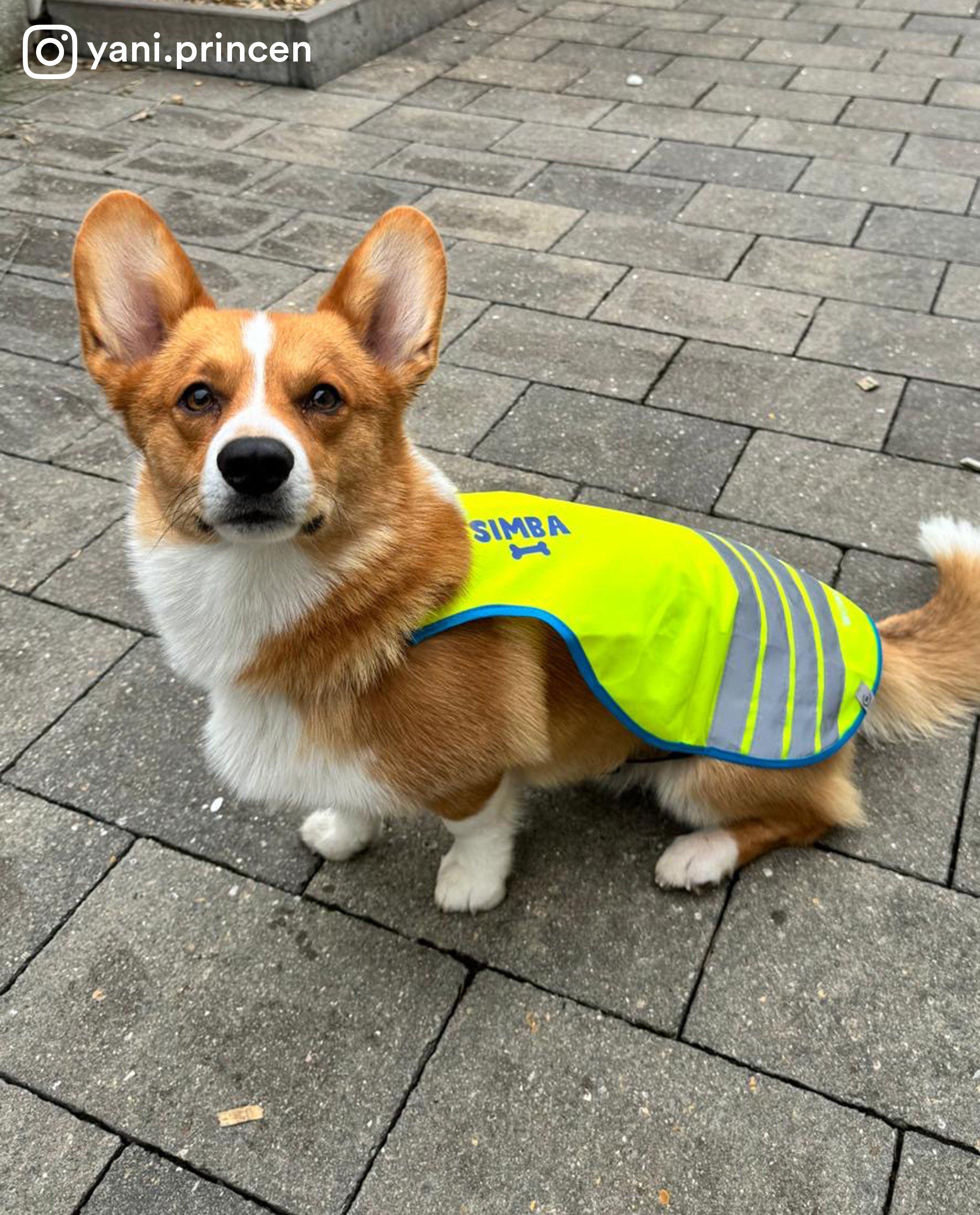Studio Unique testreszabható, nagy láthatósági mellény, kutyáknak élénk sárga
