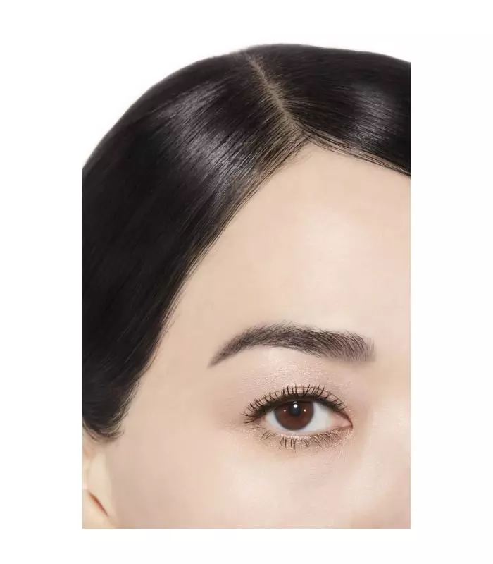 OMBRE PREMIÈRE Ombre à Paupières Poudre Longue Tenue