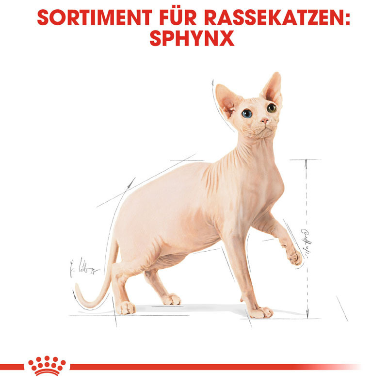 ROYAL CANIN Trockenfutter ROYAL CANIN Sphynx Adult 10 kg