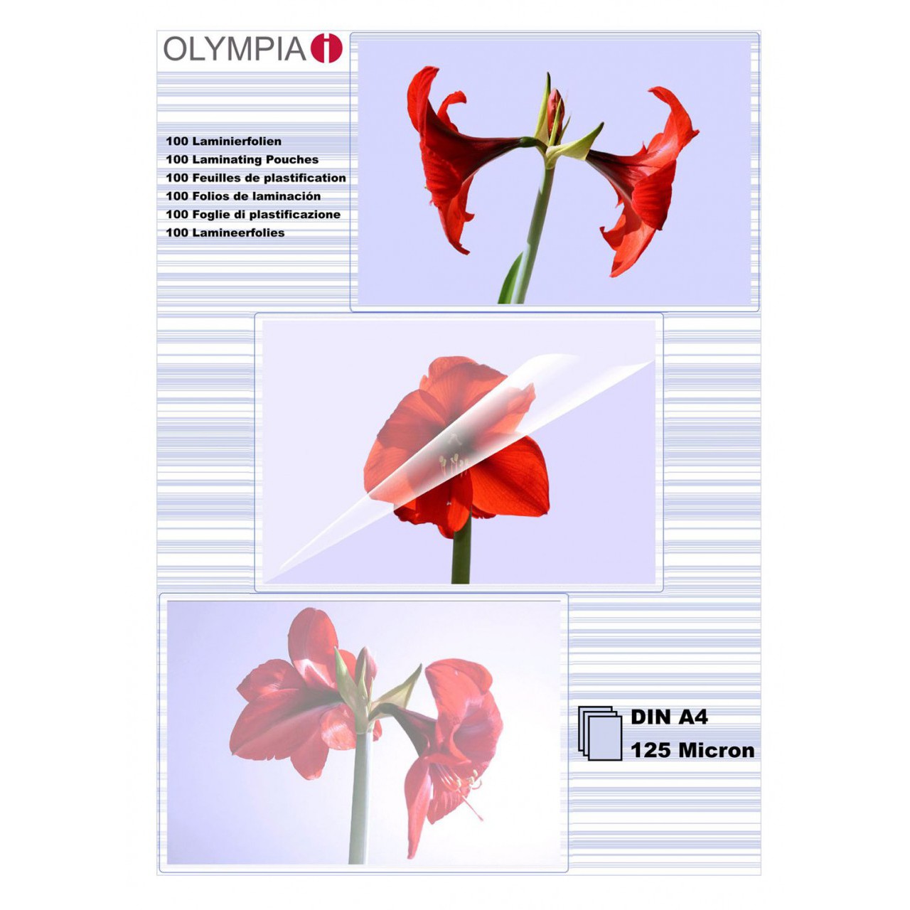 Olympia Laminierfolien OLYMPIA DIN A4 125µ, 100er*
