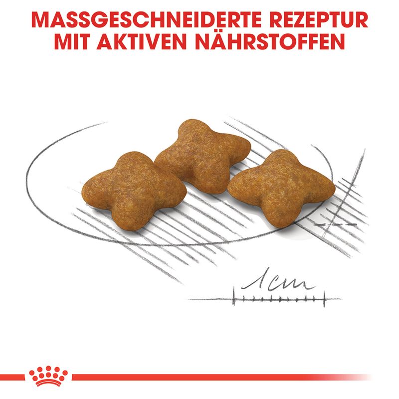 Royal Canin X-Small Sterilised