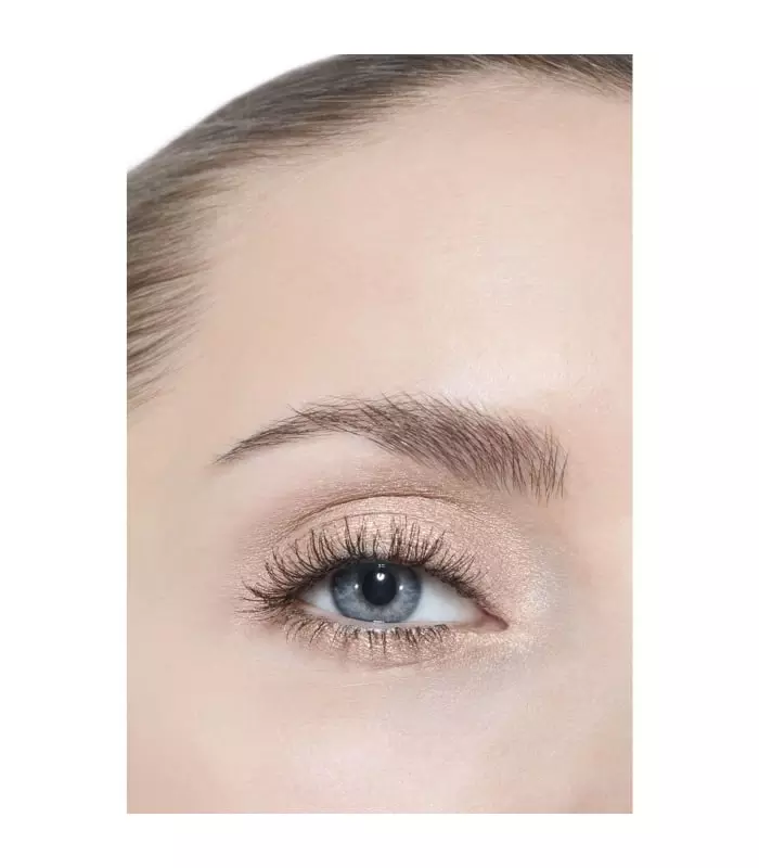 OMBRE PREMIÈRE Ombre à Paupières Poudre Longue Tenue