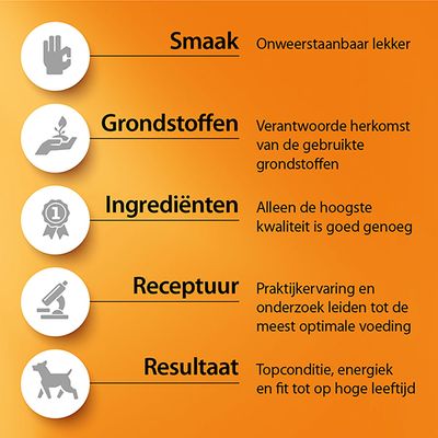 Fokker Dog Fish Fit